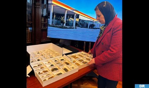 المغرب يستعيد من الشيلي 117 قطعة أحفورية يعود تاريخها إلى 400 مليون سنة