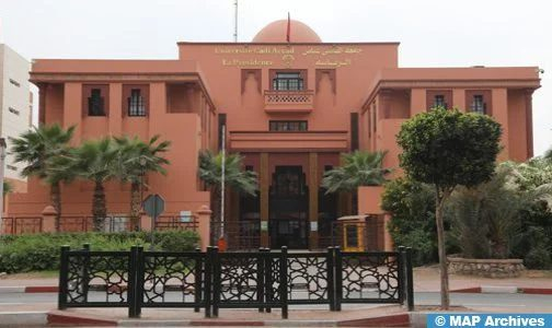 باحثون مغاربة وأجانب يقومون بتوصيف لأول مرة الشكل الثلاثي الأبعاد لمستحاثات ثلاثية الفصوص