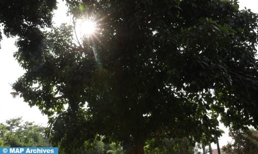 موجة حر مرتقبة من السبت إلى غاية الاثنين بعدد من مناطق المملكة (نشرة إنذارية)