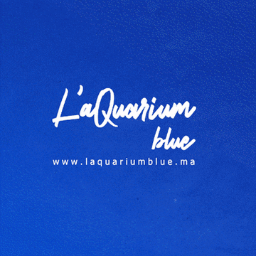 Restaurant L’Aquarium Blue
