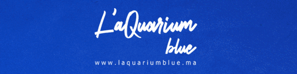 Restaurant L’Aquarium Blue