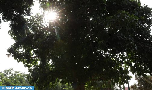 موجة حر مرتقبة من الأحد إلى الأربعاء بعدد من مناطق المملكة (نشرة إنذارية)