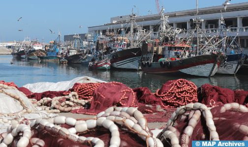 الوكالة الوطنية لتنمية تربية الأحياء المائية البحرية تهدف لرفع عدد مشاريع المزارع إلى 232 في أفق 2025 (قطاع الصيد البحري)