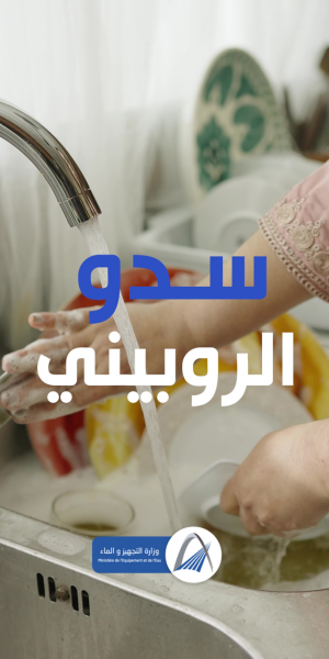 سدو الروبيني3 300-600