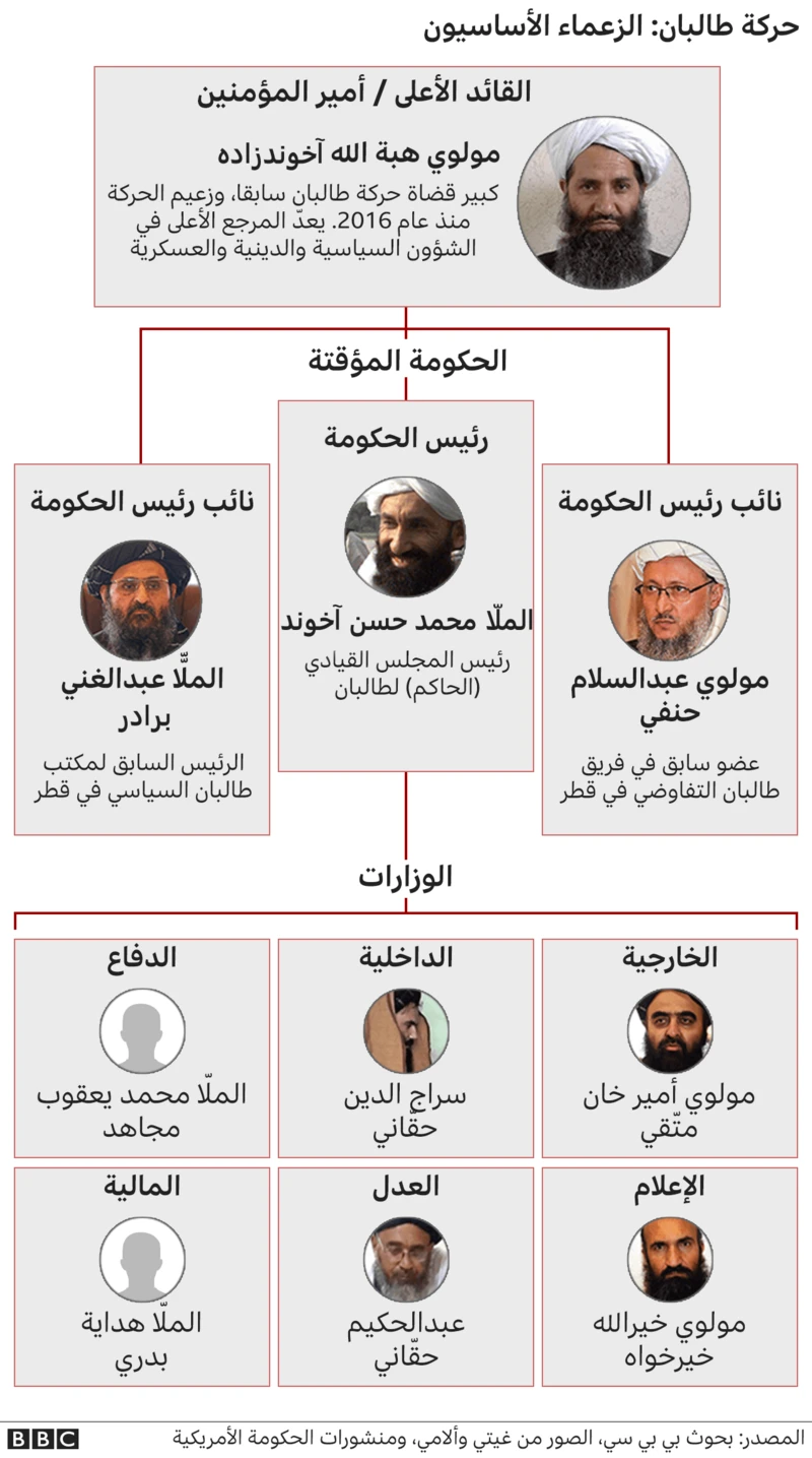 مخطط