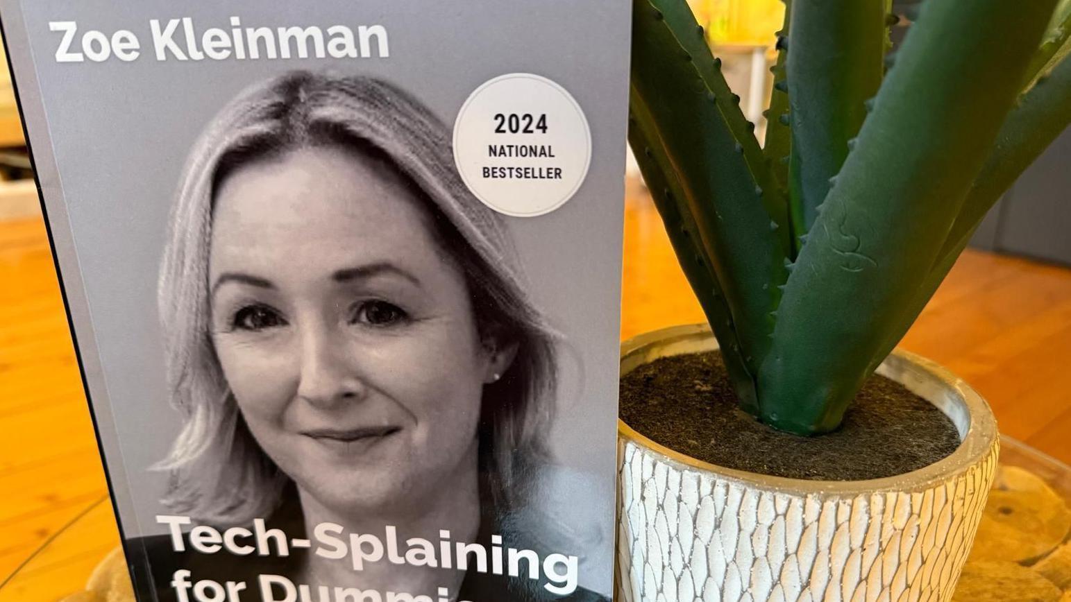 صورة لكتاب Tech-Splaining for Dummies، وهو كتاب مكتوب بالذكاء الاصطناعي على طريقة زوي كلاينمان