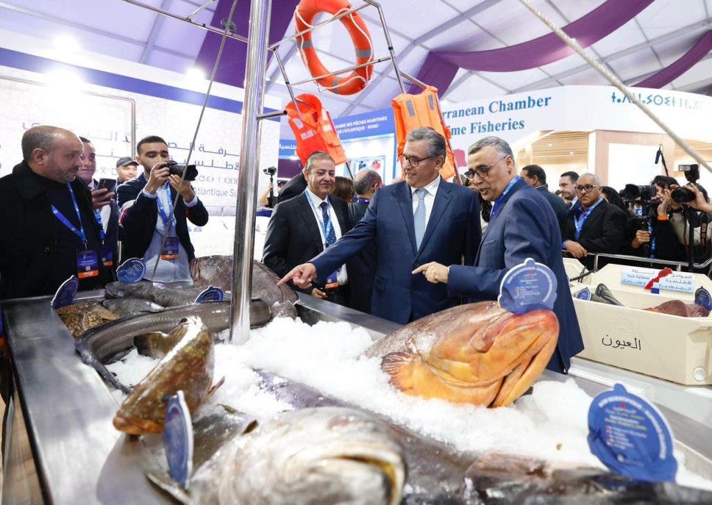 أخنوش يعطي انطلاقة فعاليات معرض "أليوتيس" الدولي بأكادير (صور) 13 أخنوش يعطي انطلاقة فعاليات معرض "أليوتيس" الدولي بأكادير (صور)