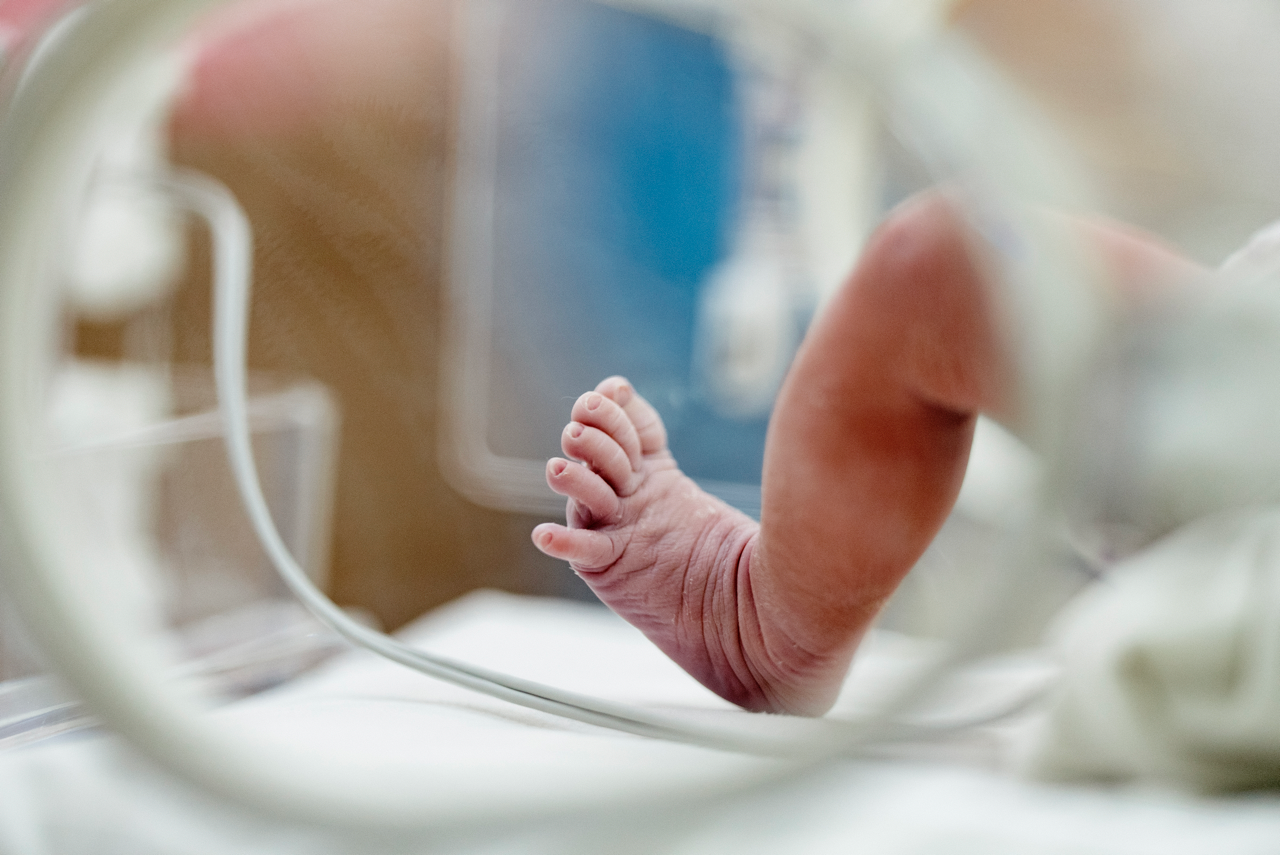 A baby in an incubator