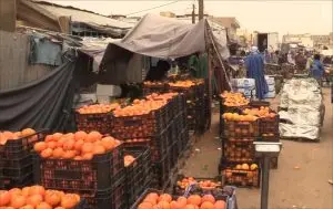"Made In Morocco".. مسيرة خضراء تخترق الصحراء 38 "Made In Morocco".. مسيرة خضراء تخترق الصحراء