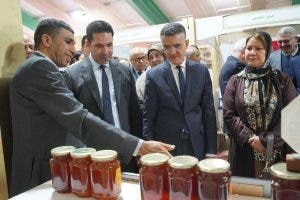 الناظور .. مجلس جهة الشرق ينظم معرض متنقل للإقتصاد الاجتماعي والتضامني 10 الناظور .. مجلس جهة الشرق ينظم معرض متنقل للإقتصاد الاجتماعي والتضامني
