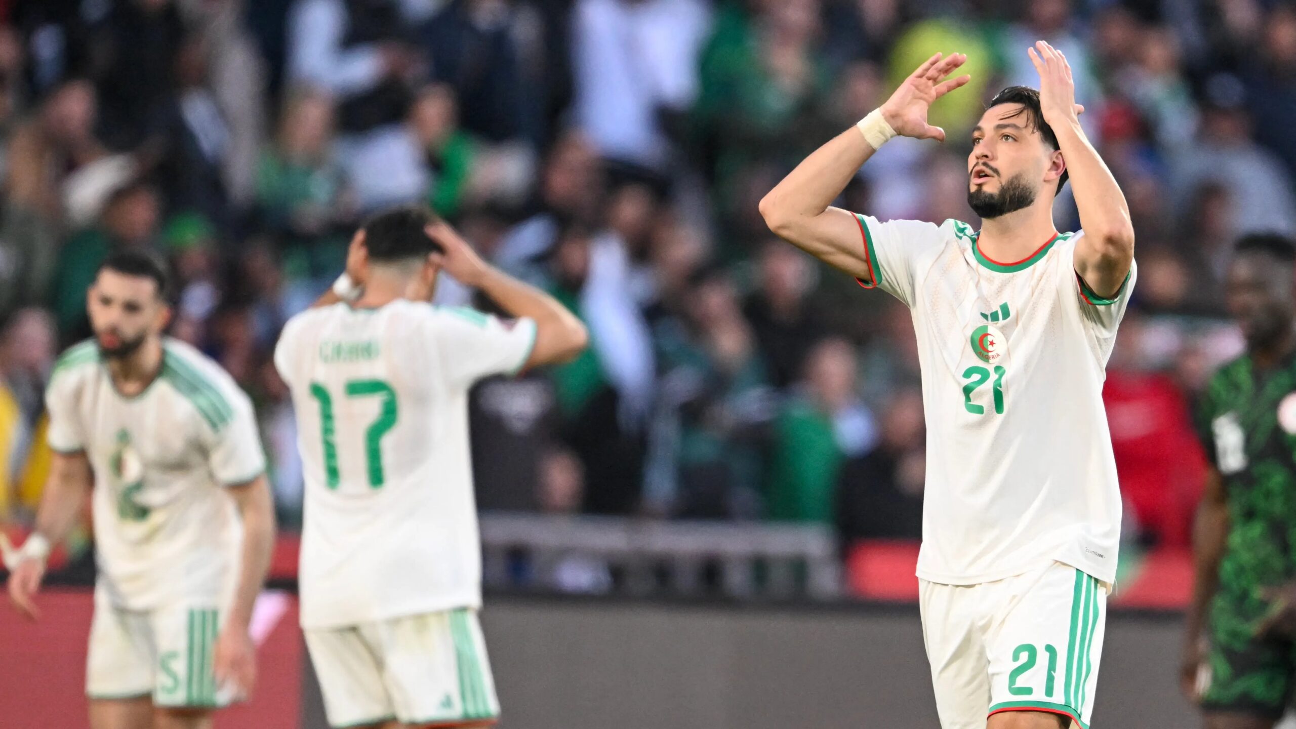 دولة أوروبية ترفض احتضان وديتي المنتخب الجزائري 4 المنتخب الجزائري