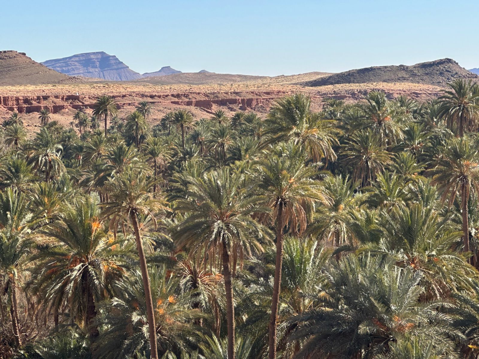 قصر إيش