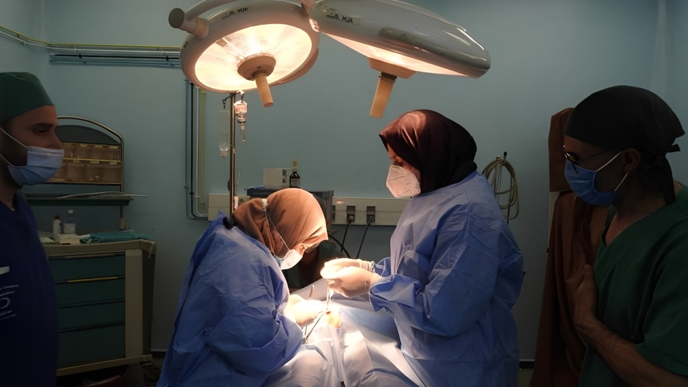 علماء يطورون تقنية لعلاج الكسور وأمراض القلب بالخلايا الجذعية