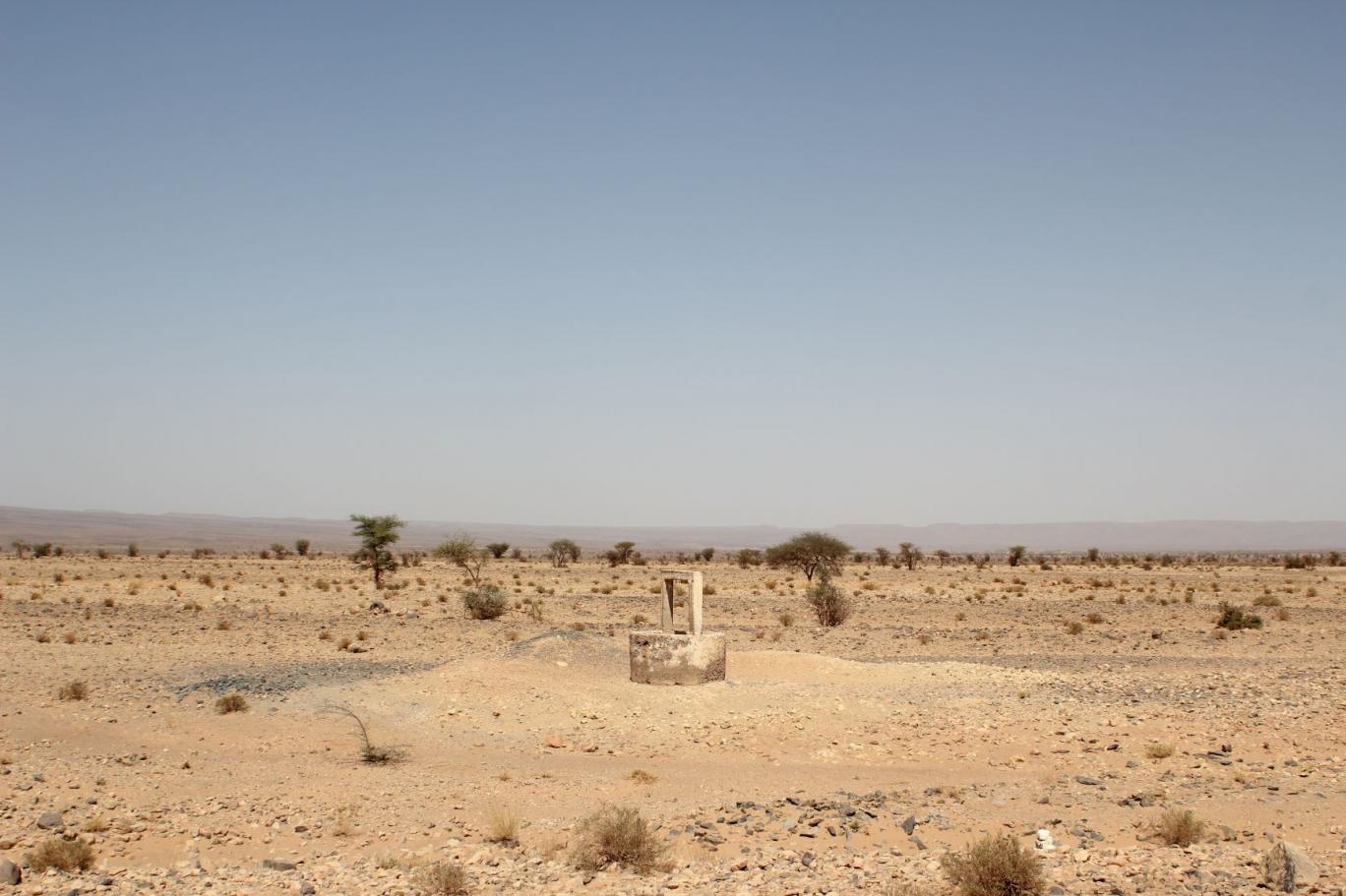سنوات الجفاف.. بازة لـ"تيلكيل عربي": 90 مليون قنطار من الحبوب لا تعني التعافي